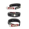 Lederhalsband wolfer -handgefertigtes Unikat -bellerei