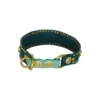 Hundehalsband emerald