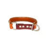 bellerei Hundehalsband aus Leder und Nieten. Unikat