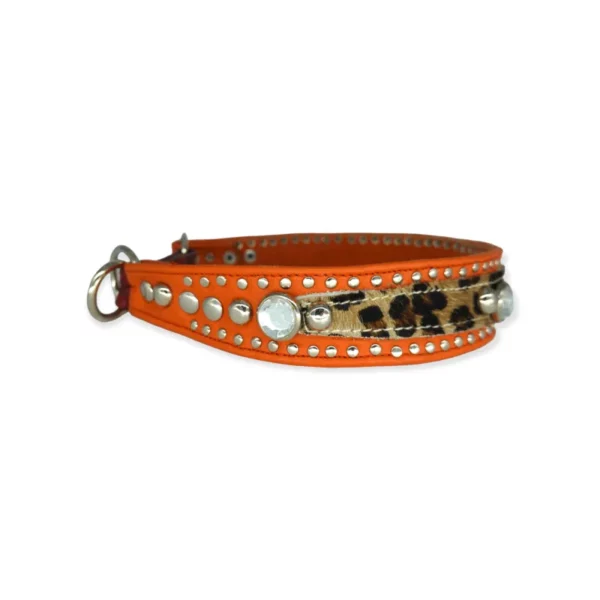 bellerei Hundehalsband aus Leder und Nieten. Unikat