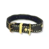 Verstellbares, buntes Hundehalsband aus Leder und Nieten. 100% Recycling Materialien. Unikat.