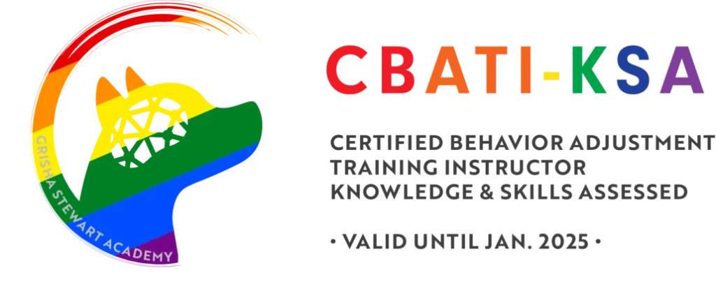Zertifikat BAT Trainer