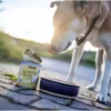Hund Insekten Nassfutter
