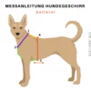 Messanleitung Hundegeschirr