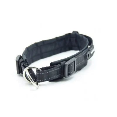 Stilvolles, gepolstertes Hundehalsband im Zugstopp-Design – sanft zum Hundehals und ideal für sicheres Training