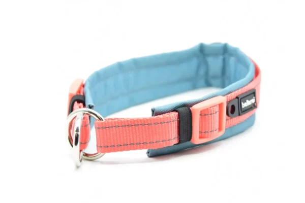 Zugstopp Hundehalsband gepolstert – Bild 2
