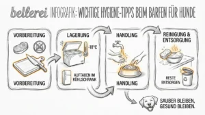 Infografik: Wichtige Hygiene-Tipps beim Barfen für Hunde