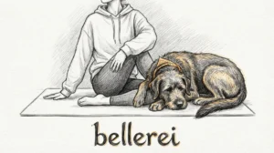 Doga für Anfänger: Achtsamkeit & Entspannung mit deinem Hund Hero