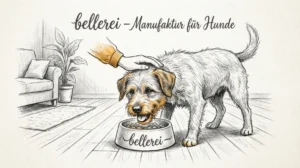 Ernährung bei Epilepsie Hunden: Kann die richtige Diät Anfälle reduzieren? Hero