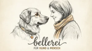 Erziehungsfehler vermeiden: Dein Guide für einen sozialisierten Hund Hero