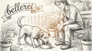 Futterumstellung Hund: Sanft zum Wohlgefühl deines Lieblings Hero