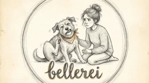 Juckreiz-Alarm? So pflegst du das Fell deines Hundes natürlich Hero