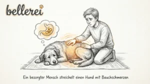 Schonkost Rezepte für Hunde: Bei Durchfall & Magen-Darm-Ruhe. Hero