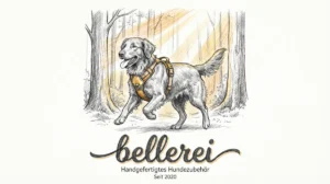 Flat Coated Retriever mit bellerei Geschirr, bereit für komfortable Abenteuer.