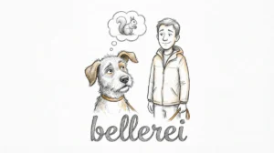 Hund mit tauben Ohren, vom Eichhörnchen abgelenkt. bellerei Rückruf Training.