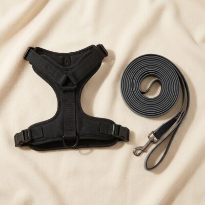 Set: Y-Geschirr + 5-m-Schleppleine