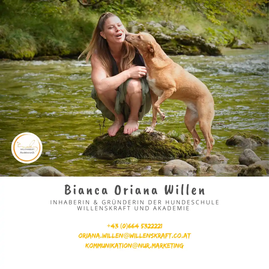 Bianca Oriana Willen beim 1:1 Online-Hundetraining