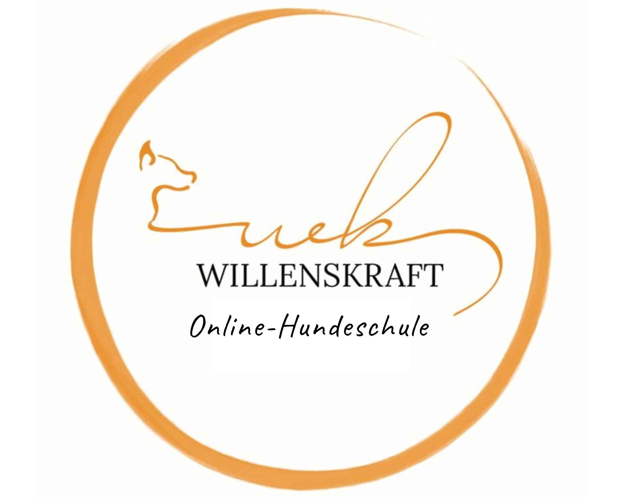 Online-Hundeschule Willenskraft: Live-Hundetraining per Videocall mit Bianca Willen