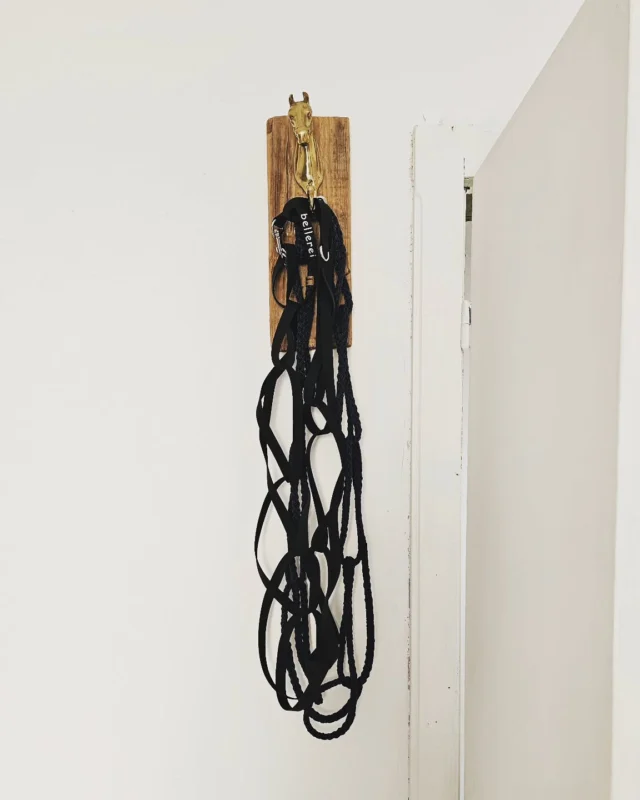 H u n d e l e i n e n

➡️ 3 Meter
➡️ 5 Meter
➡️ 10 Meter

Eine harmonische Verbindung zwischen Hund und Halter ist wichtig. Eine physische Verbindung aber auch. Zumindest überall dort, wo Leinenpflicht herrscht, oder wenn dein Hund eher selektiv zuhört, wenn du ihn rufst. Auch im Training ist so eine Hundeleine ein absolutes Muss.

Wofür auch immer du sie brauchst, eines ist klar: Die bellerei Leinen stehen ganz oben auf der Liste von Hundezubehör, das in jedem gut sortierten Haushalt dazugehört. Besonders in solchen, in denen mindestens ein Hund lebt. Die bellerei hat für jeden Zweck und Geschmack das passende Verbindungsstück zwischen Hund und Mensch.

Robuste PVC-Leinen - mit Innengurt aus robusten High-Tech-Polyester-Webbing - das selbst kräftige Zieher aushält für gemeinsame Abenteuer:

⭐️ langlebig
⭐️ federleicht
⭐️ wasserfest
⭐️ UV-bestätig
⭐️ Handschlaufe
⭐️ schmutzabweisend 
⭐️ kleiner Edelstahl Karabiner

#hundeleine #leinenliebe #bellerei #hundezubehör #doggear #hundeausstattung #leinenpflicht #gassigehen #hundeliebe #hundundmensch #trainingsleine #schleppleine #abenteuermithund #gemeinsamunterwegs #hundetraining #badreichenhall #tullnanderdonau #dogstuff #froheostern🐰